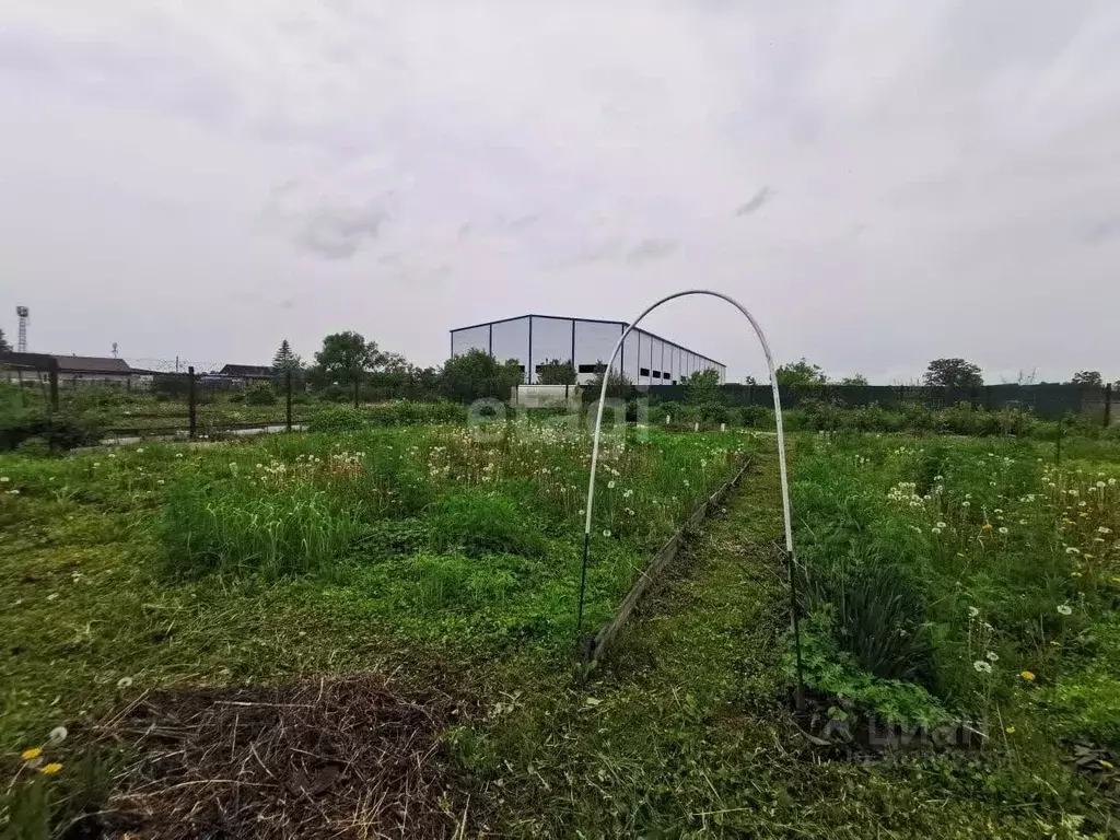 Дом в Приморский край, Артемовский городской округ, с. Кневичи  (43 м) - Фото 1