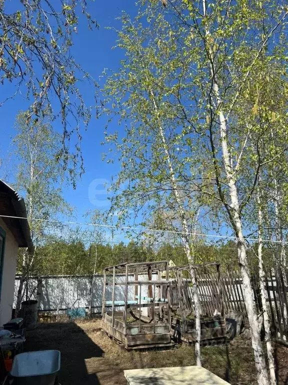 Дом в Саха (Якутия), Якутск  (30 м) - Фото 0