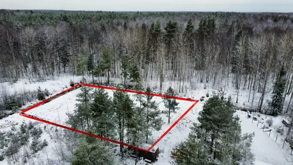 Участок в Ленинградская область, Ломоносовский район, Низинское с/пос, ... - Фото 2