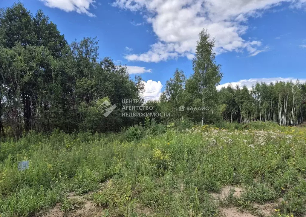 Участок в Рязанская область, Рязанский район, Варсковское с/пос  (10.0 ... - Фото 1