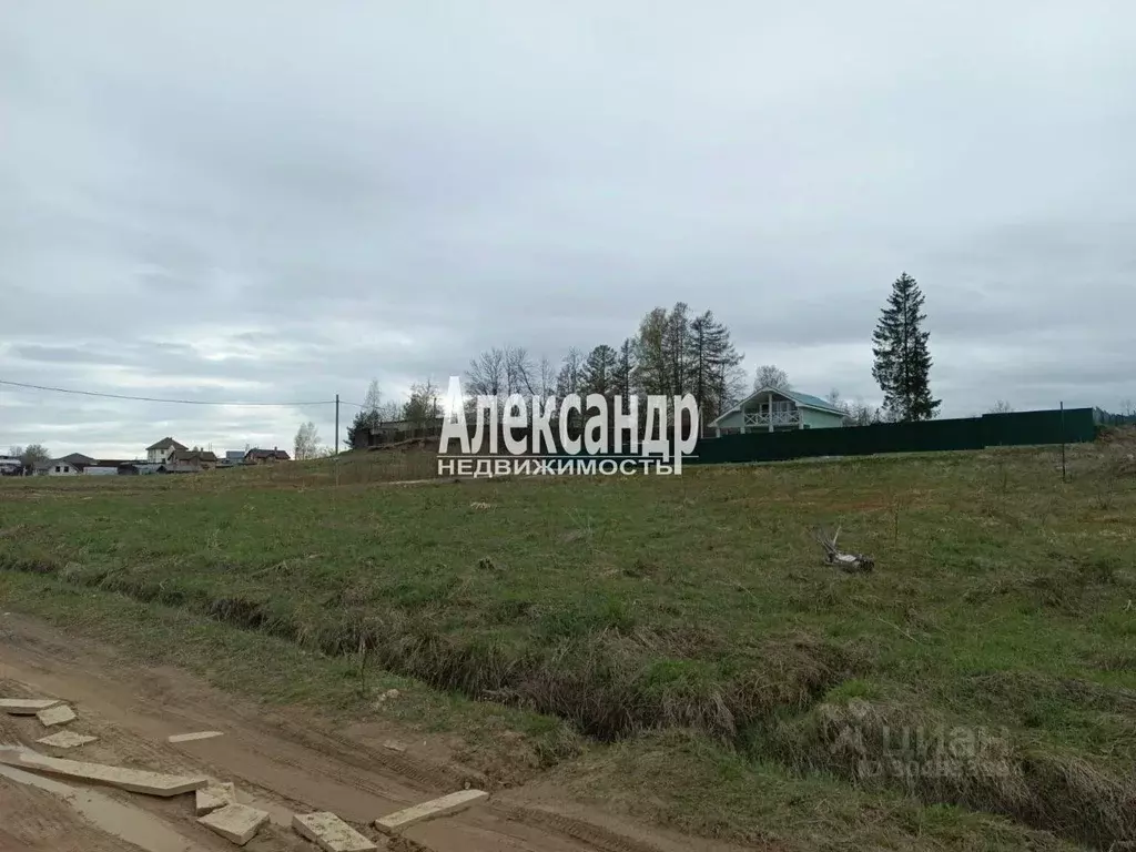 Участок в Ленинградская область, Всеволожский район, Лесколовское ... - Фото 1