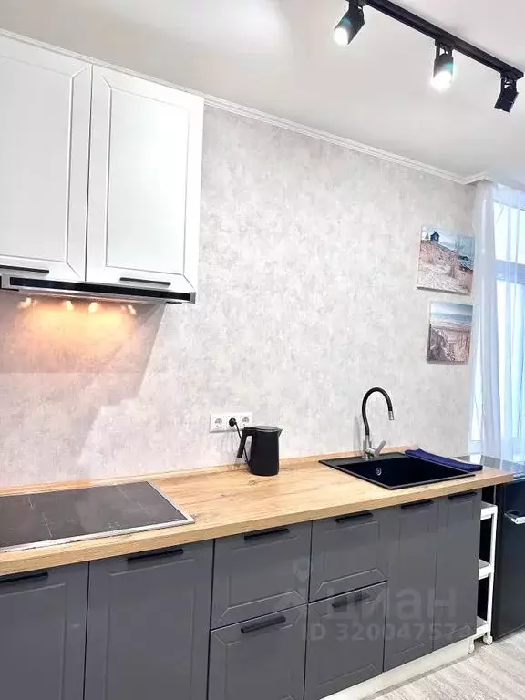 Студия Краснодарский край, Сочи Виноградная ул., 135/10 (27.0 м) - Фото 1