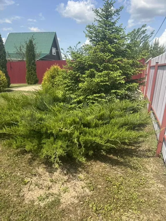 Дача 58 м на участке 9 сот. - Фото 0