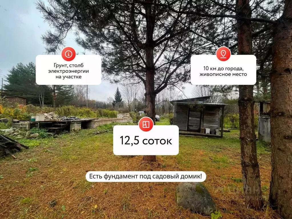 Участок в Костромская область, Костромской район, Самсоновское с/пос, ... - Фото 1