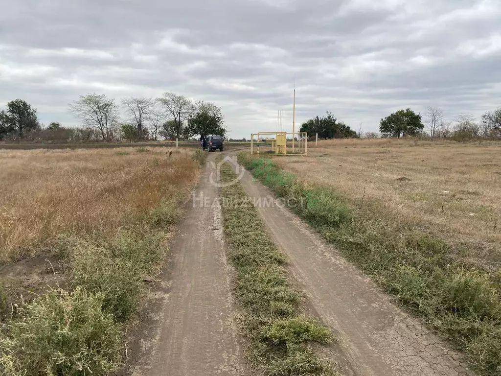 Участок в Краснодарский край, Ейский район, Кухаривское с/пос, с. ... - Фото 2