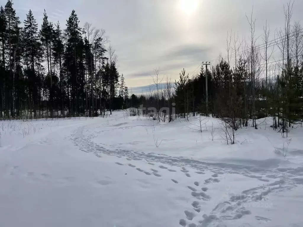 Участок в Коми, Сыктывкар городской округ, Краснозатонский пгт ул. ... - Фото 1