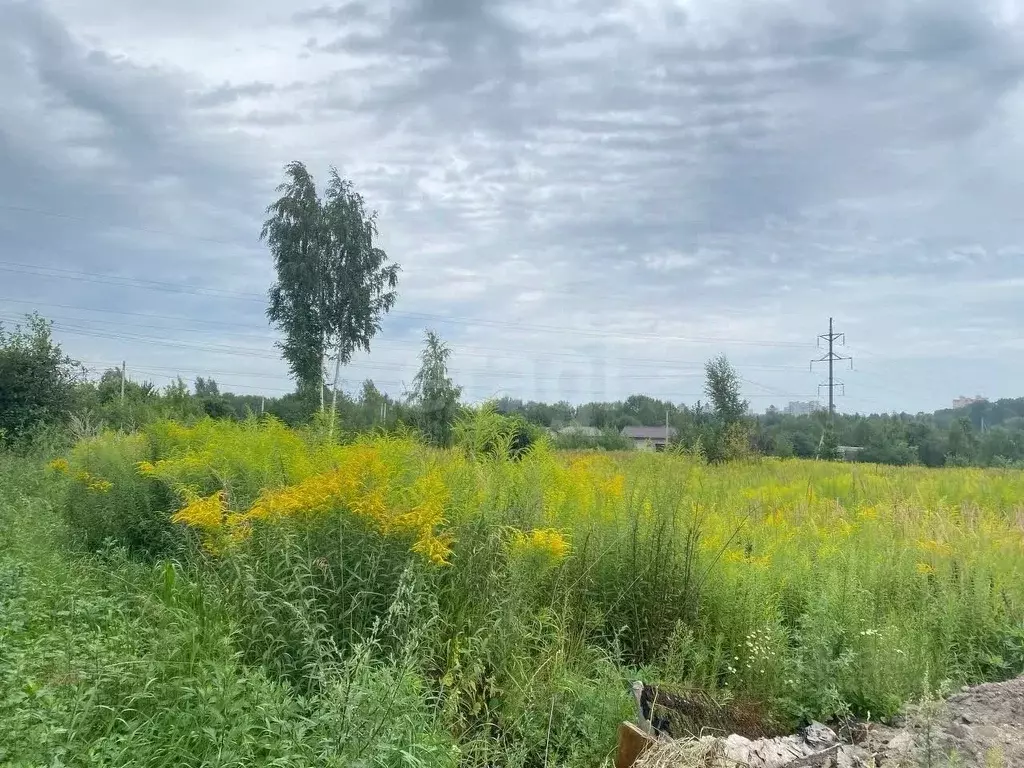 Участок в Брянская область, Брянский район, Снежское с/пос, с. ... - Фото 1