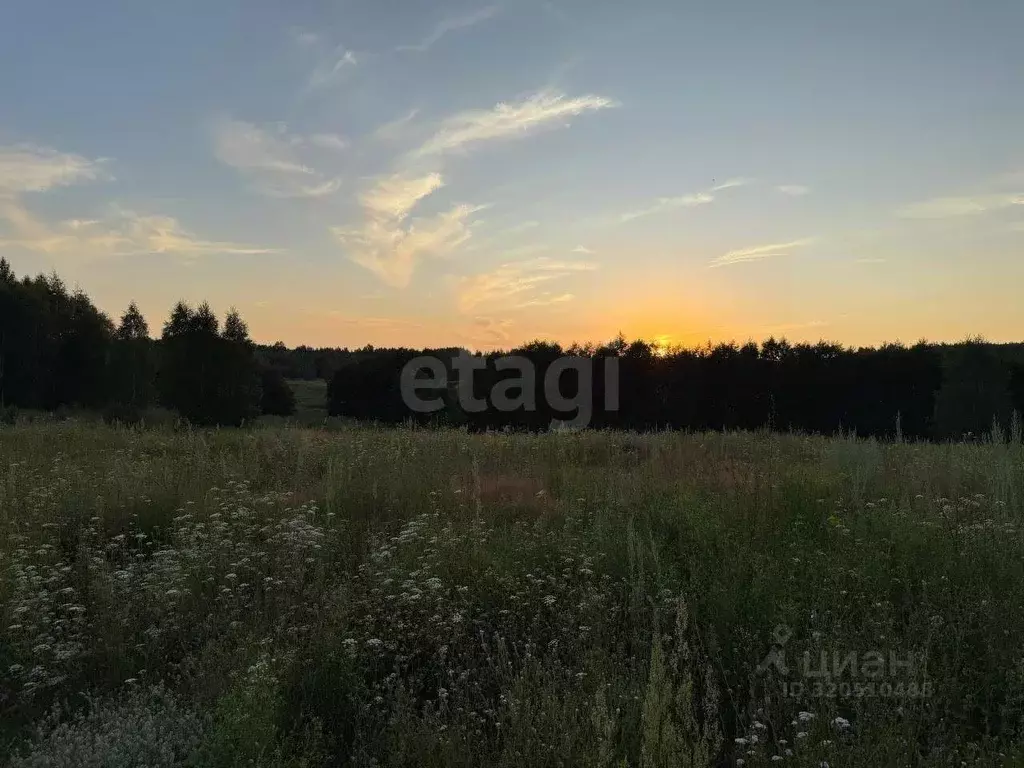 Участок в Татарстан, Пестречинский район, Богородское с/пос, д. Камыш ... - Фото 1