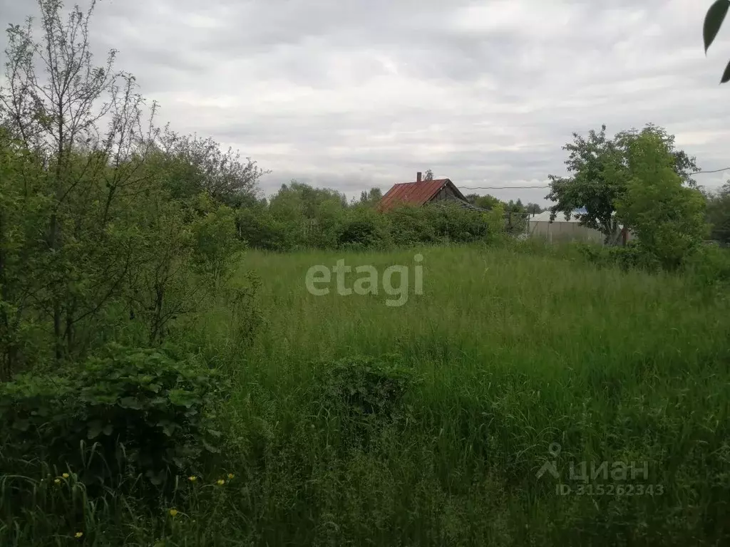 Участок в Владимирская область, Муром  (15.0 сот.) - Фото 0