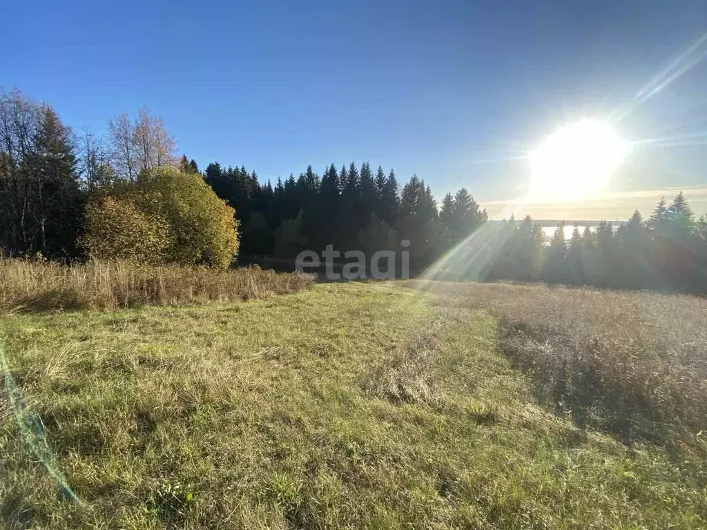 Участок в Пермский край, Добрянский городской округ, д. Гари  (10.0 ... - Фото 0