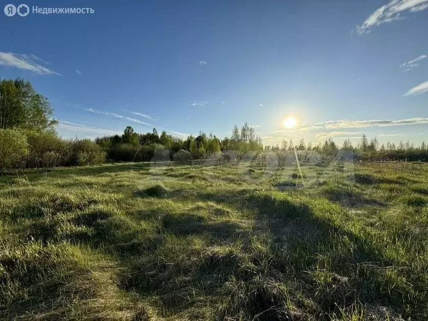 Участок в Тюменский район, село Борки (11.4 м) - Фото 0