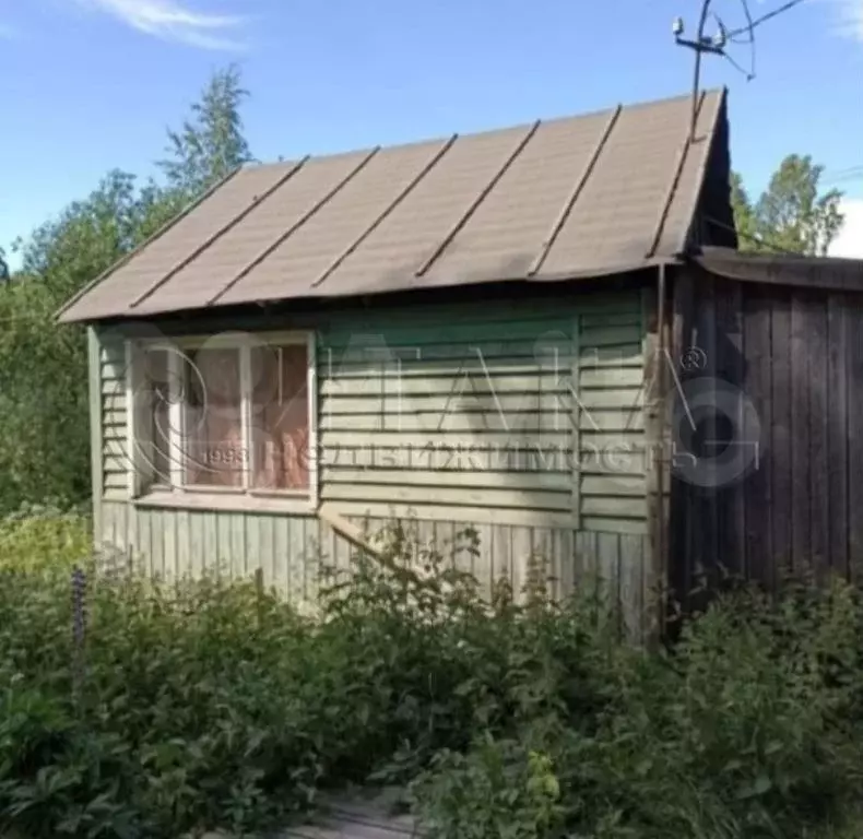 Дача 32,7 м на участке 12,8 сот. - Фото 1