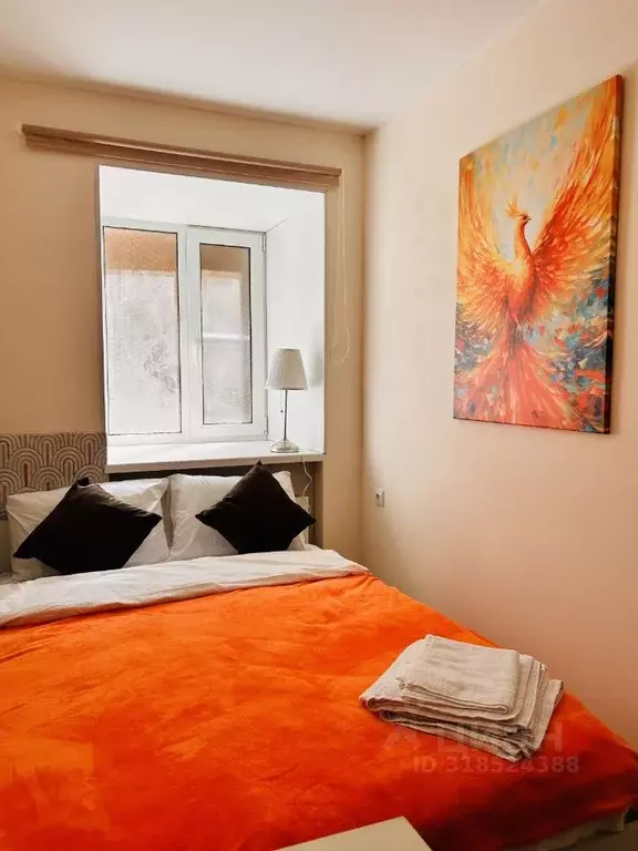 Студия Санкт-Петербург Курляндская ул., 20 (15.0 м) - Фото 0