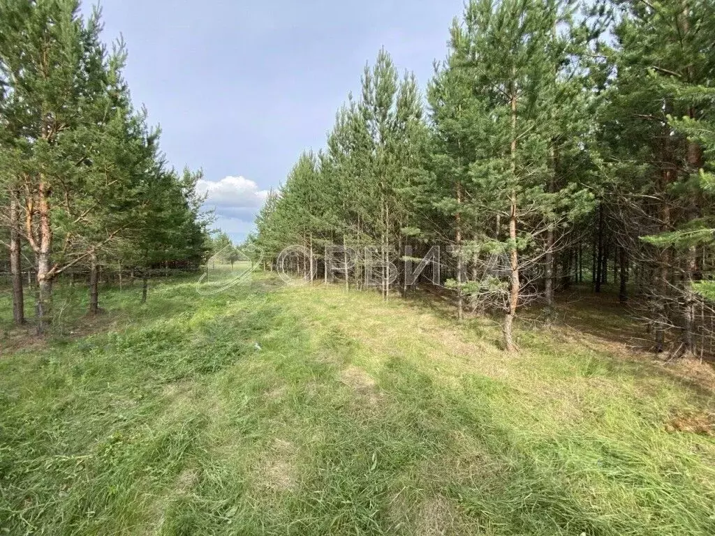 Участок в Тюменская область, Тюмень ул. Ленина (12.0 сот.) - Фото 1