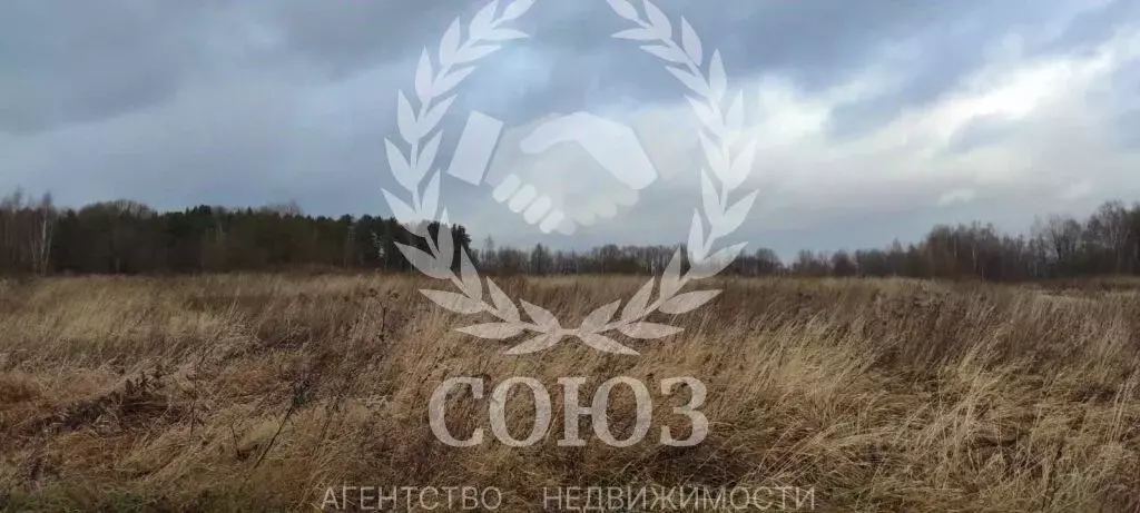 Участок в Калужская область, Мосальский муниципальный округ, пос. ... - Фото 2