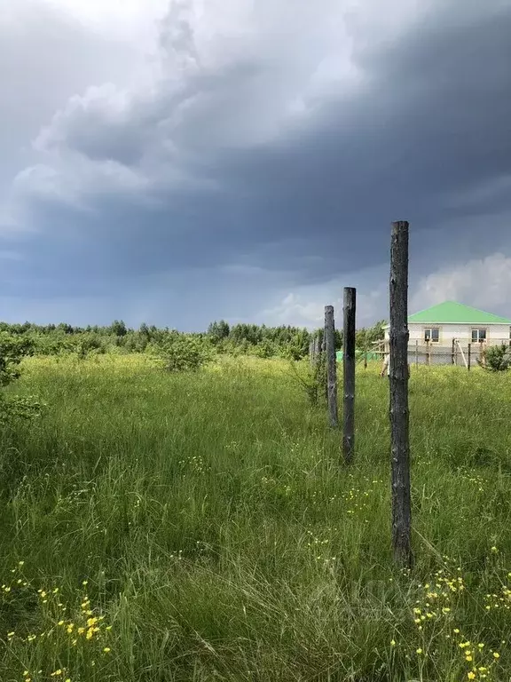 Участок в Нижегородская область, Выкса городской округ, с. Борковка ... - Фото 1