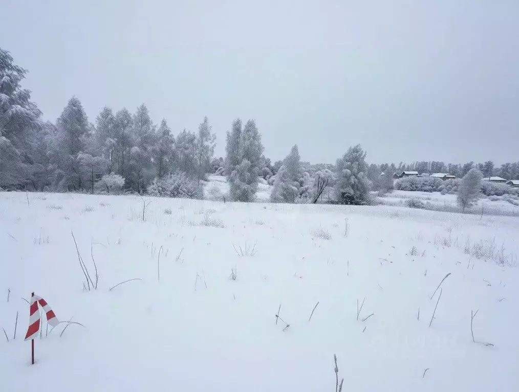 Участок в Тульская область, Тула городской округ, д. Коптево  (6.5 ... - Фото 1