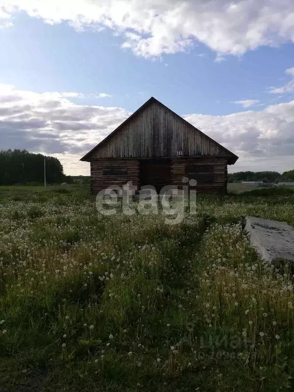 Дом в Свердловская область, с. Туринская Слобода ул. Калиновая, 1 (127 ... - Фото 1