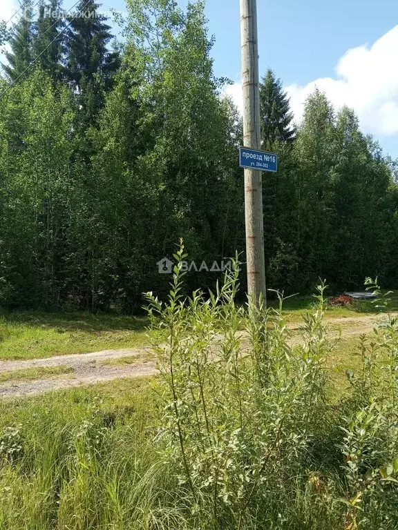 Участок в Выльгорт, СТ Речник (10 м) - Фото 0