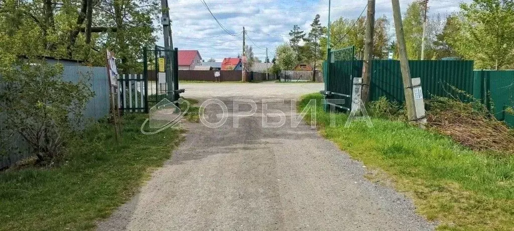 Участок в Тюменская область, Тюмень Садовое товарищество Липовый ... - Фото 1