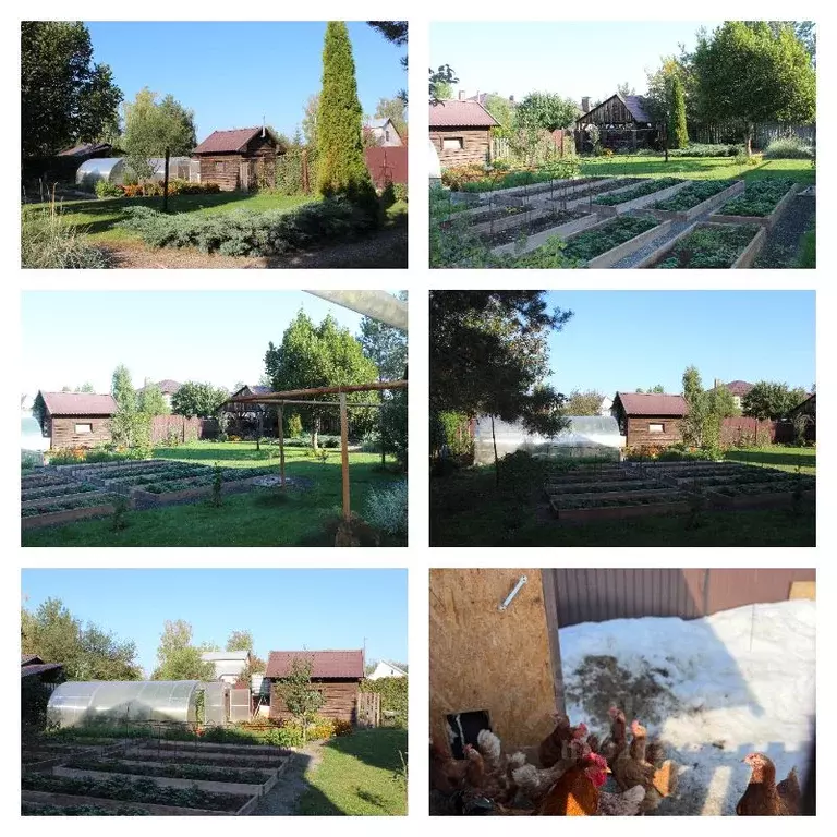 Дом в Самарская область, Волжский район, Черновский с/пос, с. ... - Фото 2