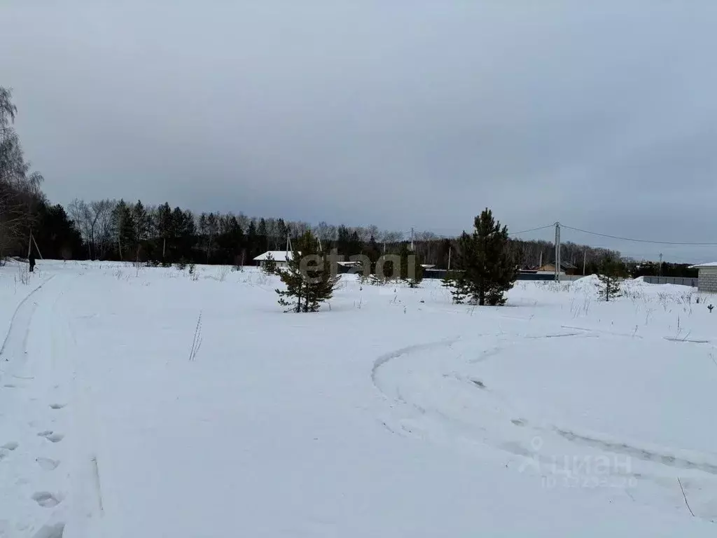 Участок в Свердловская область, Белоярский городской округ, с. ... - Фото 0