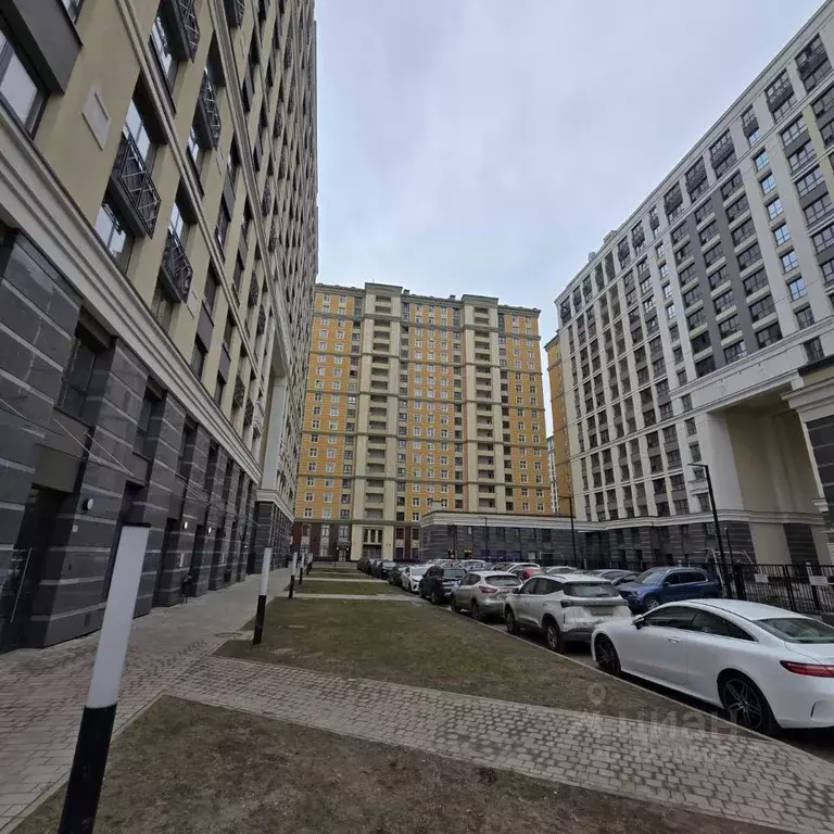 Помещение свободного назначения в Санкт-Петербург Московский просп., ... - Фото 1