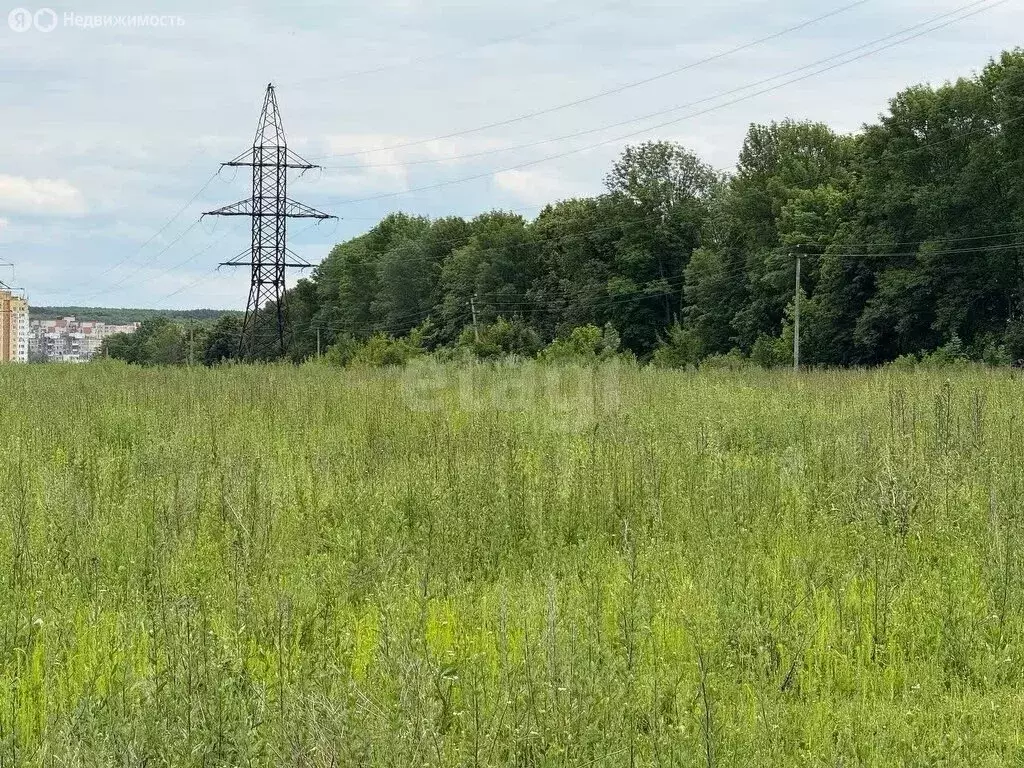 Участок в Лямбирский район, село Берсеневка (10.49 м) - Фото 1