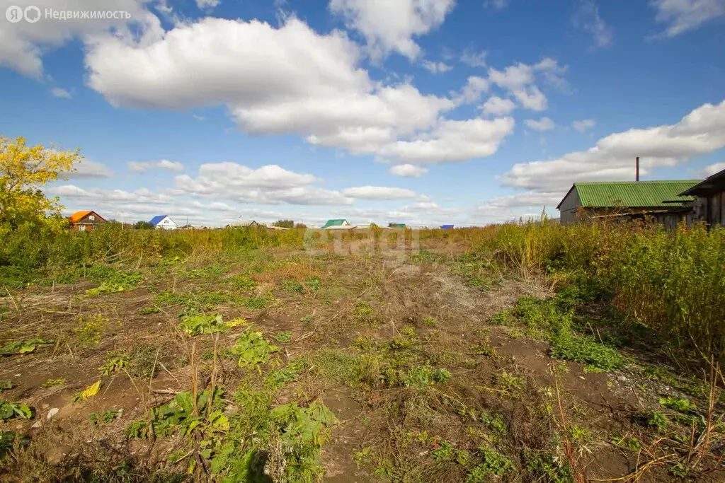 Участок в село Новая Заимка, улица Кирова (19.7 м) - Фото 2
