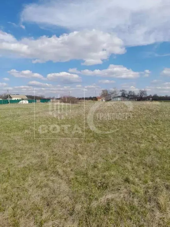 Участок в Воронежская область, Новоусманский район, Хреновское с/пос, ... - Фото 1