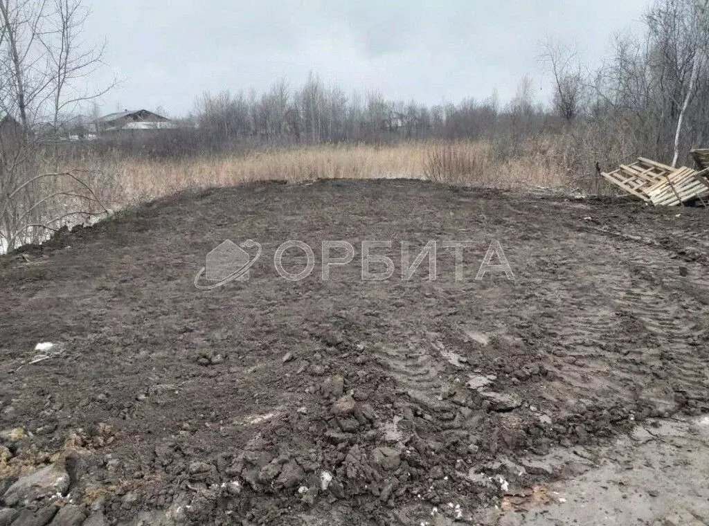 Участок в Тюменская область, Тюмень Малинка садовое товарищество, ул. ... - Фото 0