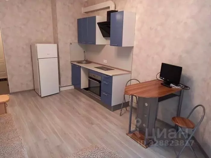 Студия Санкт-Петербург просп. Большевиков, 7к3 (24.0 м) - Фото 1