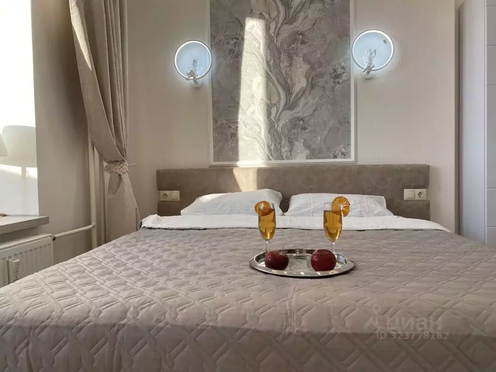 Студия Ленинградская область, Гатчина ул. Чехова, 43к1 (20.0 м) - Фото 1