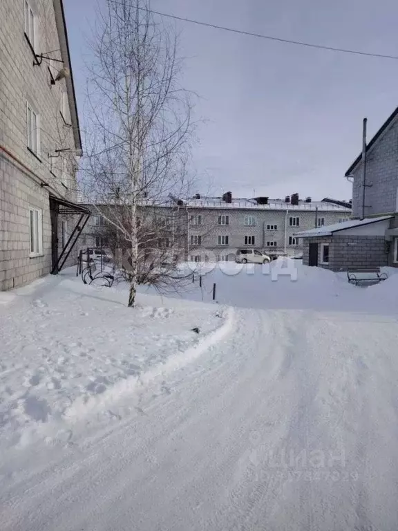Студия Новосибирская область, Колывань рп ул. Г. Гололобовой, 5 (25.6 ... - Фото 1