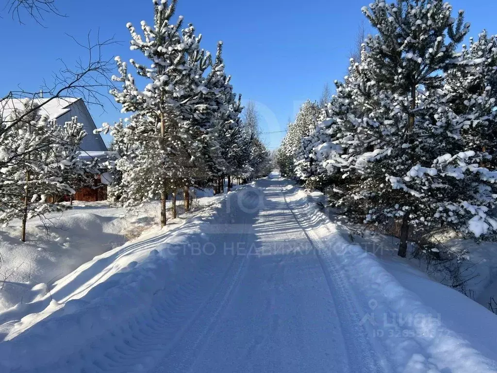 Участок в Ленинградская область, Приозерский район, Ромашкинское ... - Фото 2