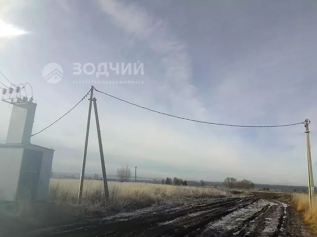 Участок в Чувашия, Чебоксарский муниципальный округ, с. Абашево  (21.0 ... - Фото 2