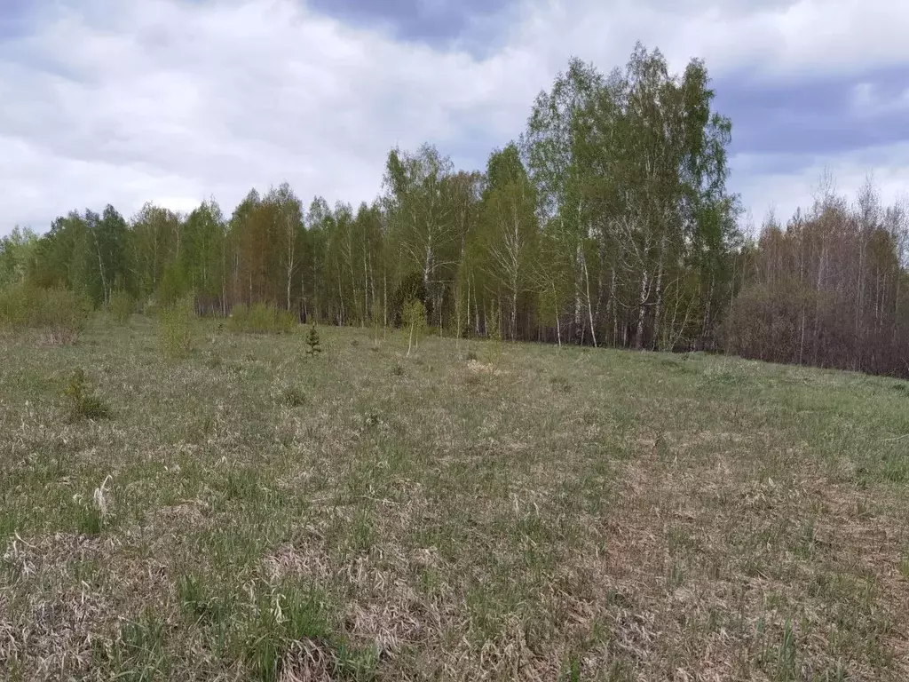 Участок в Тюменская область, Тюменский район, д. Елань  (7.0 сот.) - Фото 1