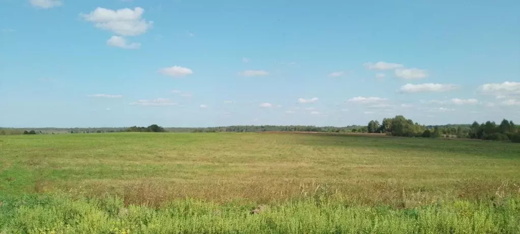 Участок в Ярославская область, Переславль-Залесский городской округ, ... - Фото 0