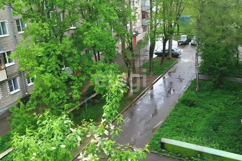 2-к кв. Ярославская область, Рыбинск Ошурковская ул., 3 (44.5 м) - Фото 1