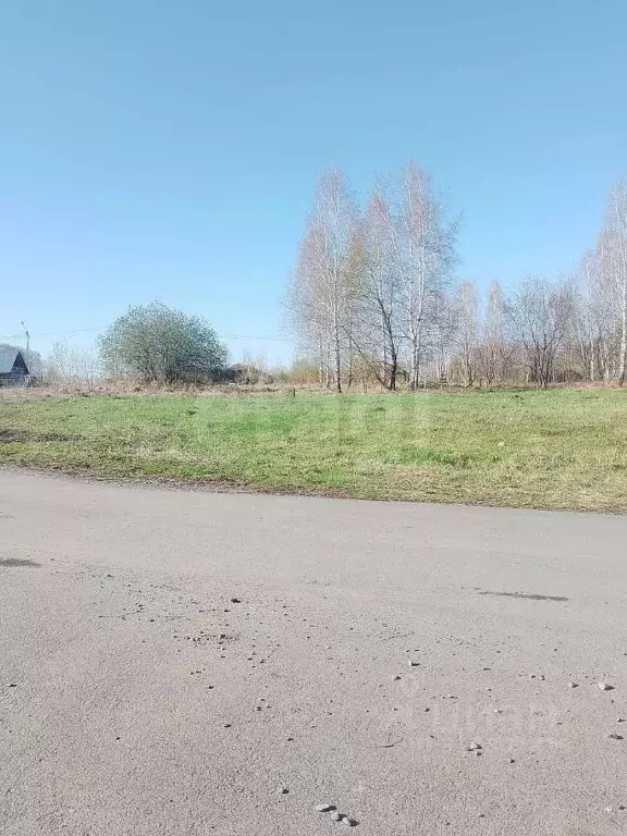 Участок в Алтай, Майминский район Р-256 Чуйский тракт, 449-й км (10.5 ... - Фото 0