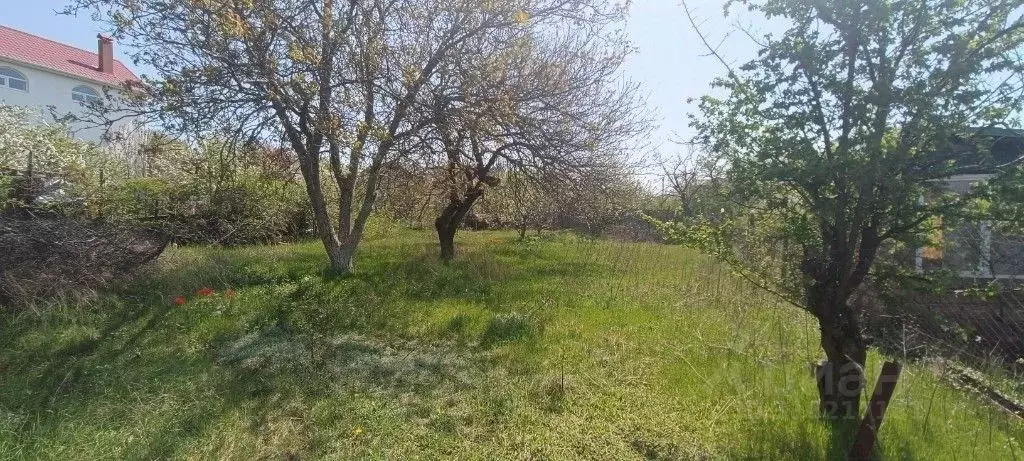 Участок в Крым, Симферопольский район, Молодежное пгт, Садовод СПК ул. ... - Фото 1