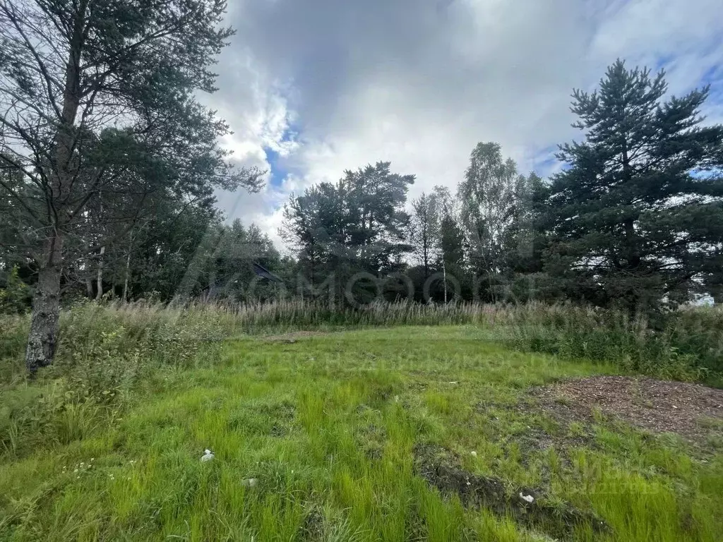 Участок в Ленинградская область, Приозерский район, Ларионовское ... - Фото 1