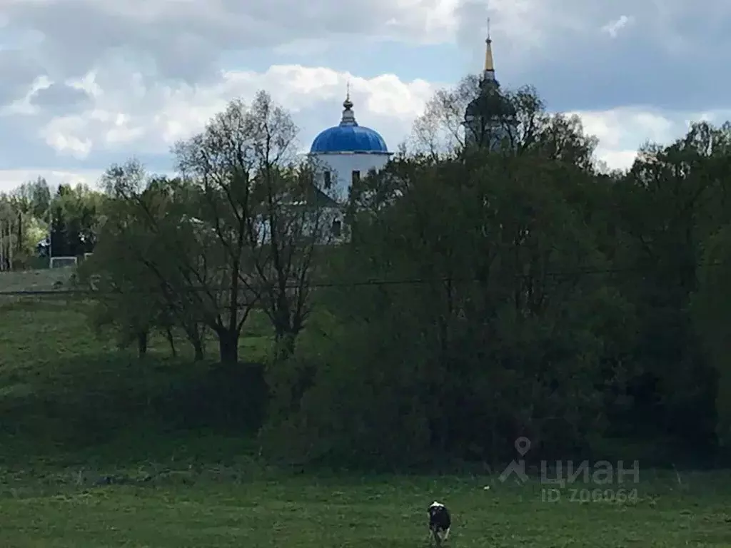 Участок в Тульская область, Алексинский район, с. Першино  (15.0 сот.) - Фото 0