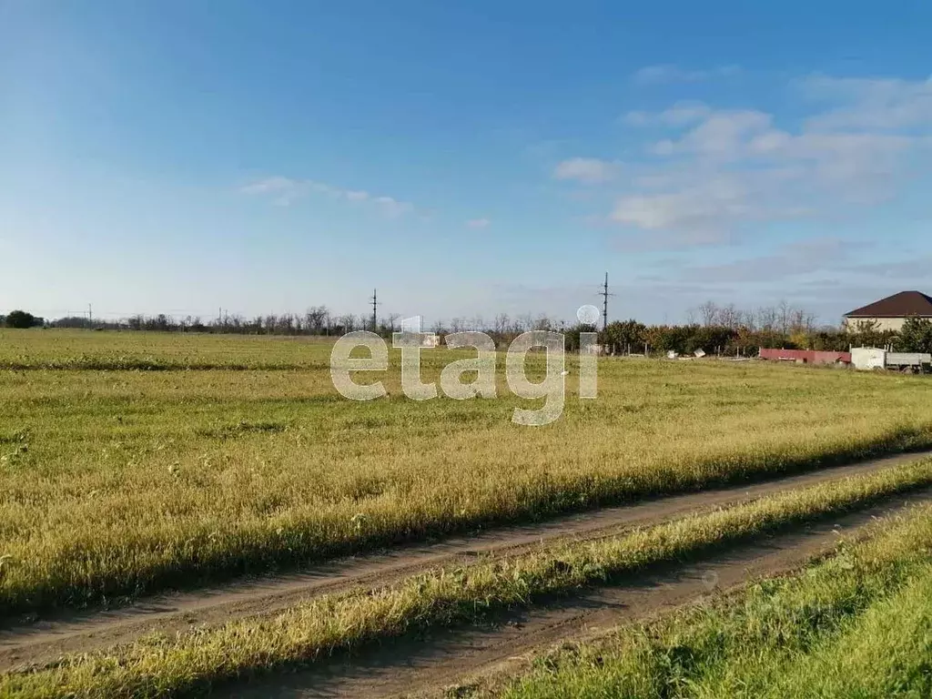 Участок в Краснодарский край, Анапа муниципальное образование, пос. ... - Фото 1