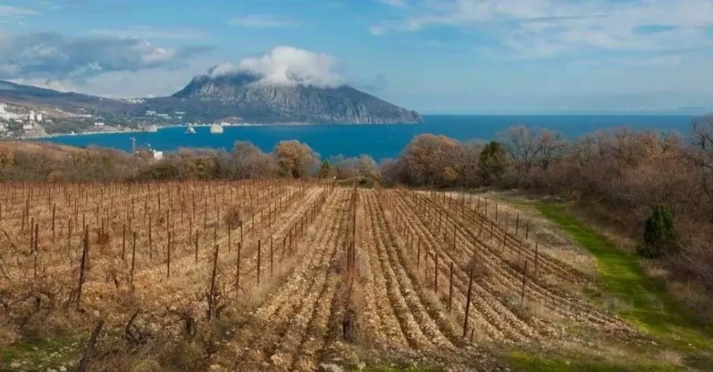 Участок в Крым, Ялта муниципальный округ, Гурзуф пгт ш. Гурзуфское, 4 ... - Фото 1