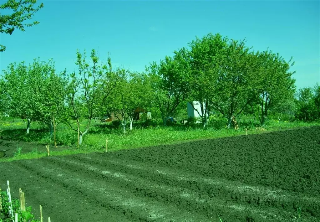Участок в Белгородская область, Белгородский район, Северный городское ... - Фото 2