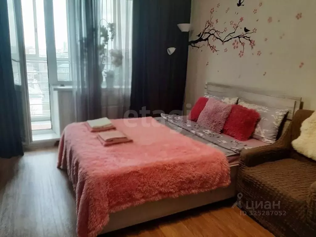 Студия Новосибирская область, Новосибирск Петропавловская ул., 2 (29.0 ... - Фото 2