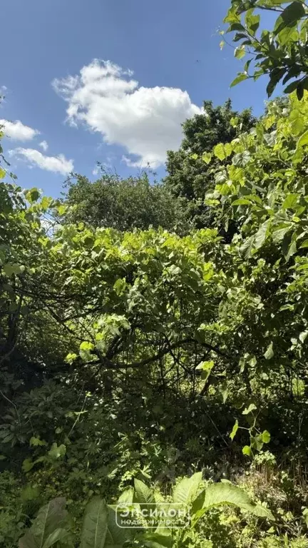 Участок в Курская область, Курск Кавказская ул., 3 (28.0 сот.) - Фото 1