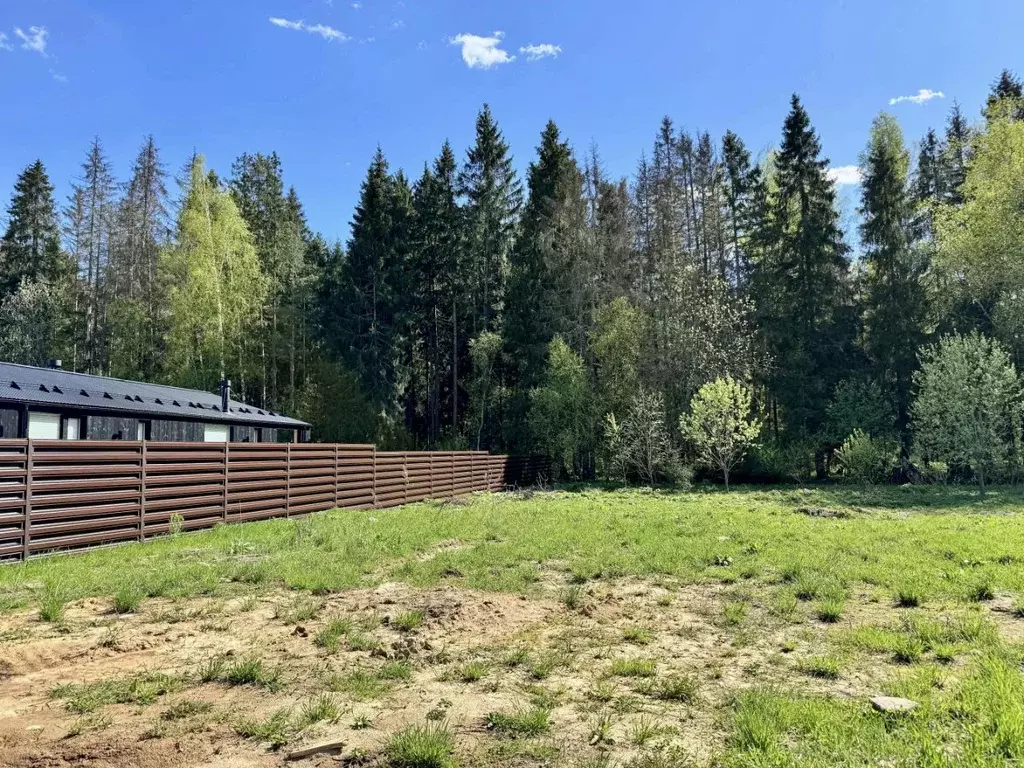 Участок в Московская область, Пушкино Чистые Пруды мкр, проезд ... - Фото 1