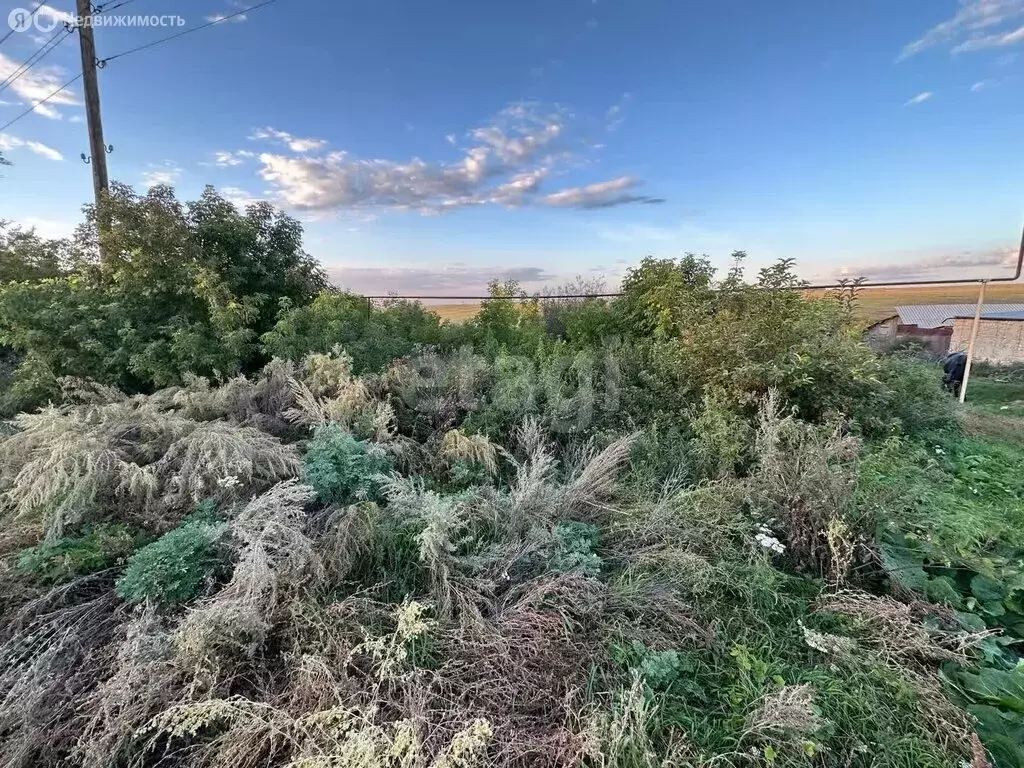 Участок в посёлок Родники, Набережная улица (624 м) - Фото 2